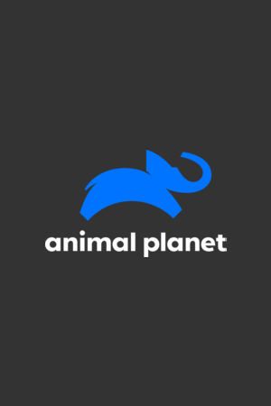 Animal Planet 2