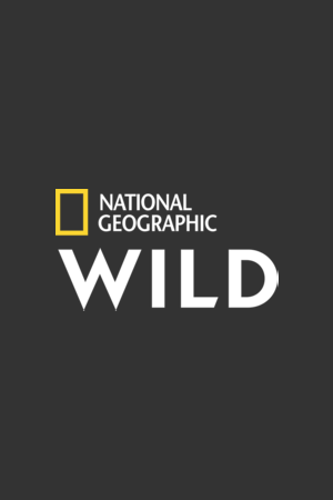 National Geographic  Wild